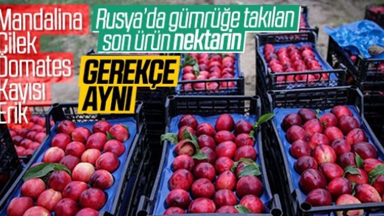 Rusya 20 ton nektarini geri yolladı