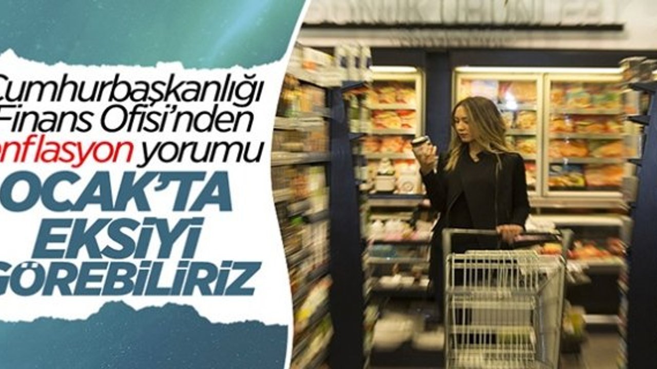 Göksel Aşan: Ocak ayı enflasyonu eksi gelebilir