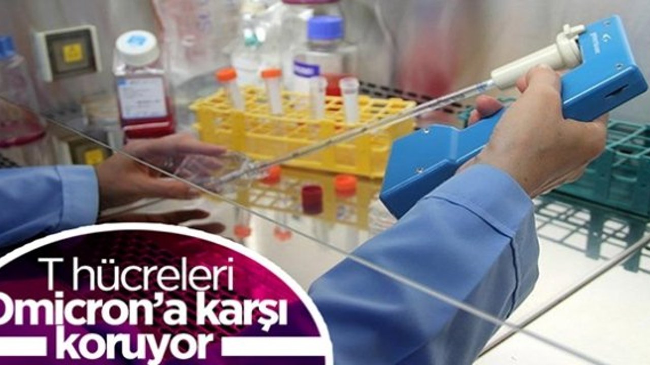 Koronavirüsün Omicron varyantı, T hücrelerini aşmakta zorlanıyor