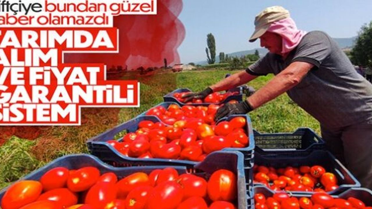 Çiftçilere müjde: Alım ve fiyat garantili sistem yolda