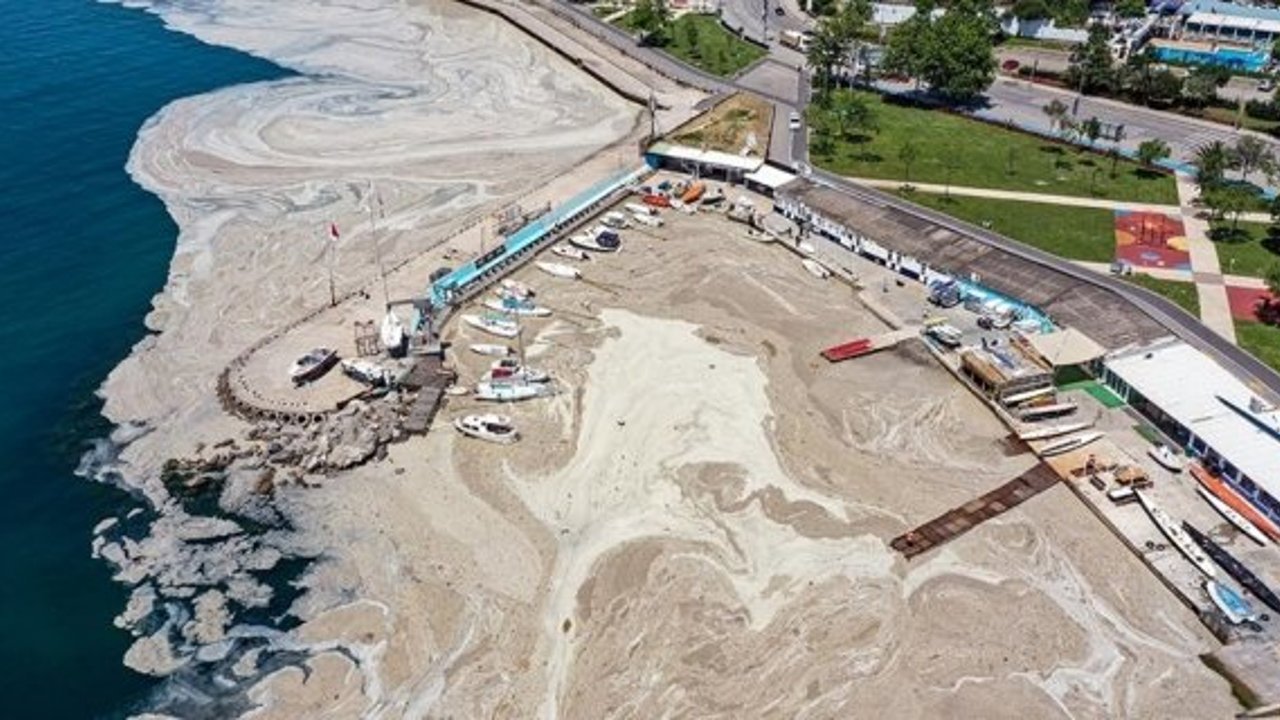 Marmara’da ’bitti’ denilen müsilaj kabusu tekrar hortladı