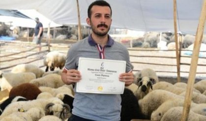 'Üniversite mezunu koyuncu' tabelasıyla kurbanlık satıyor