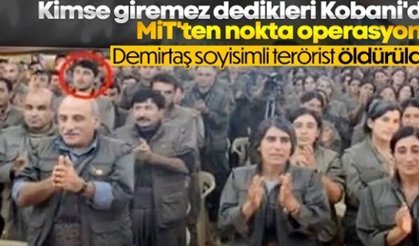 MİT, Suriye'de sözde Kobani eyalet sorumlusu Hasan Demirtaş'ı öldürdü