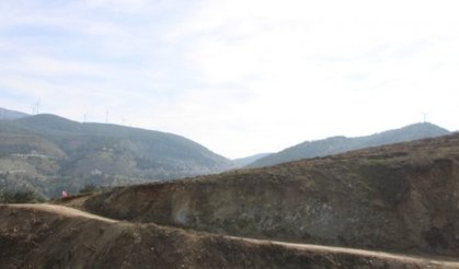 Orman yangınlarında yok olan alanlar yeniden ağaçlandırılıyor