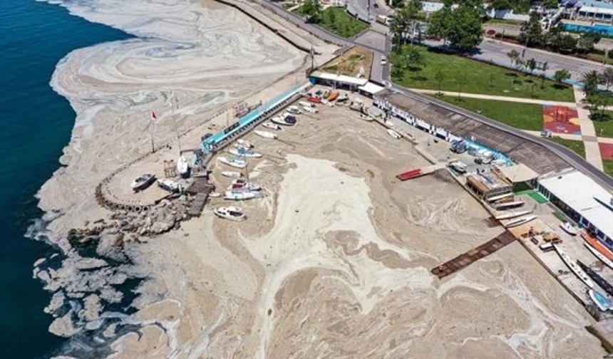 Marmara’da ’bitti’ denilen müsilaj kabusu tekrar hortladı